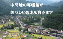 能登町産　特別栽培米　能登コシヒカリ（精米）　5kg×2袋