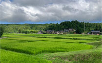 能登町産　特別栽培米　能登コシヒカリ（無洗米）　5kg×2袋