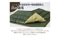 リバーシブル無地カラー・こたつ掛け布団【長方形超特大判：205×315cm】（KSI006）&nbsp;&nbsp;お色：チョコ/モカ