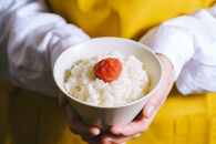 紀州南高梅&nbsp;花のうめ（しそ漬け）&nbsp;330g×2個&nbsp;ngao014