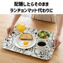 TATSU-CRAFT&nbsp;マグネットトレー&nbsp;L&nbsp;39cm&nbsp;グローヴ&nbsp;すべり止め付き&nbsp;［Tk1106］