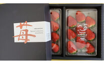 いちご&nbsp;約250g×2　【かおり野/紅ほっぺ/ベリーポップすず】から1～2品種お届け
