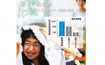 能登再晴（のとふたたびはれ）　グレー