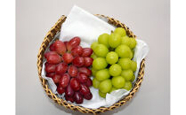 【2026年7月発送】出雲紅白　ハレの日セット（神紅＆シャインマスカット）