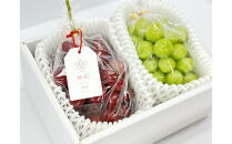 【2026年7月発送】出雲紅白　ハレの日セット（神紅＆シャインマスカット）