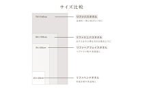 リファハンドタオル2枚セット