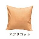 「染」クッションカバー&nbsp;45×45cmタイプ&nbsp;アプリコット&nbsp;国産オックスフォード生地&nbsp;無地