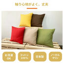 「染」2枚組クッションカバー&nbsp;45×45cmタイプ&nbsp;ブラック&nbsp;国産オックスフォード生地&nbsp;無地