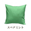 「染」4枚組クッションカバー&nbsp;45×45cmタイプ&nbsp;スペアミント&nbsp;国産オックスフォード生地&nbsp;無地