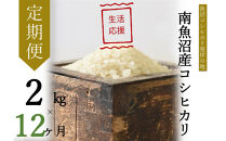 【令和7年産】【定期便・上旬お届け】2kg×12ヶ月　南魚沼産コシヒカリ生活応援