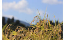 【令和7年産】【定期便・上旬お届け】5kg×12ヶ月　南魚沼産コシヒカリ生活応援