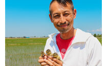 モヒカン農家こだわりの酒米を使用した日本酒720ml×2本セット