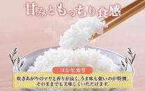 【2026年9月発送】令和8年産&nbsp;コシヒカリ&nbsp;白米&nbsp;5kg×1袋&nbsp;長野県産&nbsp;米&nbsp;精米&nbsp;お米&nbsp;ごはん&nbsp;ライス&nbsp;甘み&nbsp;農家直送&nbsp;産直&nbsp;信州&nbsp;人気&nbsp;ギフト&nbsp;お取り寄せ&nbsp;平林農園&nbsp;送料無料&nbsp;長野県&nbsp;大町市