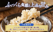 【2026年10月発送】令和8年産&nbsp;つきあかり&nbsp;玄米&nbsp;5kg×1袋&nbsp;長野県産&nbsp;米&nbsp;精米&nbsp;お米&nbsp;ごはん&nbsp;ライス&nbsp;甘み&nbsp;農家直送&nbsp;産直&nbsp;信州&nbsp;人気&nbsp;ギフト&nbsp;お取り寄せ&nbsp;平林農園&nbsp;送料無料&nbsp;長野県&nbsp;大町市