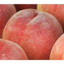 ［先行予約］和歌山の厳選白桃&nbsp;約1kg［白鳳・清水白桃・川中島・もも・はくとう］［化粧箱入り］［IKE316］