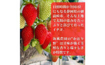 【訳あり】《限定2月発送》&nbsp;&nbsp;朝採り同日出荷&nbsp;イチゴ　御前崎産かおり野　訳あり徳用&nbsp;1.3kg