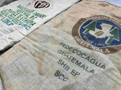 「珈」Fサワーブレンド500g&nbsp;コーヒー豆&nbsp;浅煎り&nbsp;【酸味系】