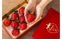 VIPボックス赤[5Lサイズ450g]&nbsp;　最高級完熟あまおうギフト