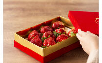 VIPボックス赤[5Lサイズ450g]&nbsp;　最高級完熟あまおうギフト