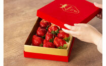 VIPボックス赤[5Lサイズ450g]&nbsp;　最高級完熟あまおうギフト