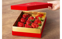 VIPボックス赤[5Lサイズ450g]&nbsp;　最高級完熟あまおうギフト