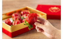 VIPボックス赤[5Lサイズ450g]&nbsp;　最高級完熟あまおうギフト