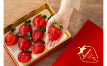 VIPボックス赤[5Lサイズ450g]&nbsp;　最高級完熟あまおうギフト