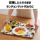 TATSU-CRAFT&nbsp;マグネットトレー&nbsp;SS&nbsp;21.5cm&nbsp;リーフ&nbsp;すべり止め付き&nbsp;［Tk1069］