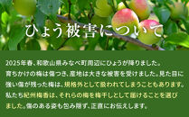 無添加梅干し&nbsp;ひょう被害エール規格外はちみつ梅干し&nbsp;1kg(500gパックx2個)&nbsp;塩分6%&nbsp;甘酸っぱい&nbsp;蜂蜜漬け&nbsp;6-HYO&nbsp;［KU12］