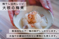 【梅ボーイズ】無添加&nbsp;紀州南高梅の梅チューブ2本セット（塩・紫蘇）天日塩使用&nbsp;umehkr019