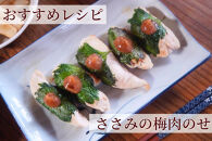 【梅ボーイズ】無添加&nbsp;紀州南高梅の梅チューブ4本セット（塩・紫蘇）天日塩使用&nbsp;umehkr020