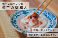 【梅ボーイズ】無添加&nbsp;紀州南高梅の梅チューブ4本セット（塩・紫蘇）天日塩使用&nbsp;umehkr020