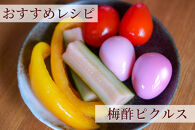 【梅ボーイズ】無添加&nbsp;紀州南高梅の梅酢2本セット（白・紫蘇）天日塩使用&nbsp;umehkr022