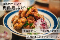 【梅ボーイズ】無添加&nbsp;紀州南高梅の梅酢2本セット（白・紫蘇）天日塩使用&nbsp;umehkr022