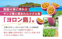 【2026年夏発送】パッションフルーツ&nbsp;(1kg12個入り化粧箱入)&nbsp;2026年6月～出荷開始&nbsp;リリコイ&nbsp;南国フルーツ&nbsp;デザート&nbsp;人気&nbsp;鹿児島県&nbsp;&nbsp;与論町