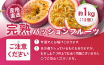 【2026年夏発送】パッションフルーツ&nbsp;(1kg12個入り化粧箱入)&nbsp;2026年6月～出荷開始&nbsp;リリコイ&nbsp;南国フルーツ&nbsp;デザート&nbsp;人気&nbsp;鹿児島県&nbsp;&nbsp;与論町