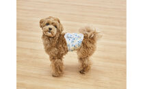 【4枚入×6個】ペット用おむつ&nbsp;ピタフィット&nbsp;ＸＳ&nbsp;男の子用&nbsp;&nbsp;MNPD-XS4