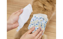 【4枚入×6個】ペット用おむつ&nbsp;ピタフィット&nbsp;ＸＳ&nbsp;男の子用&nbsp;&nbsp;MNPD-XS4