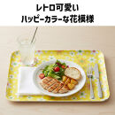 TATSU-CRAFT&nbsp;マグネットトレー&nbsp;SS&nbsp;21.5cm&nbsp;マーチ&nbsp;GR&nbsp;グリーン&nbsp;すべり止め付き&nbsp;［Tk1061］