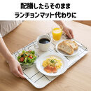 TATSU-CRAFT&nbsp;マグネットトレー&nbsp;L&nbsp;39cm&nbsp;ラビリンス&nbsp;すべり止め付き&nbsp;［Tk1130］