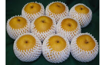 訳あり&nbsp;王秋梨&nbsp;5kg箱&nbsp;(約6～12玉)