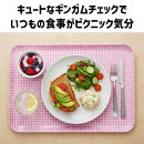 TATSU-CRAFT&nbsp;マグネットトレー&nbsp;SS&nbsp;21.5cm&nbsp;チェック&nbsp;GR&nbsp;グリーン&nbsp;すべり止め付き&nbsp;［Tk1051］