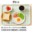 TATSU-CRAFT&nbsp;マグネットトレー&nbsp;SS&nbsp;21.5cm&nbsp;ミルキーチェック&nbsp;GR&nbsp;グリーン&nbsp;すべり止め付き&nbsp;［Tk1065］