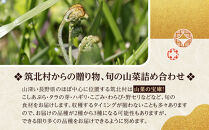 先行予約【2027年4月中旬頃～順次発送予定】ちっくほっくふぁ～む　山の恵み　山菜セット