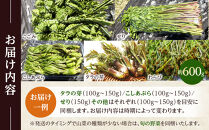 先行予約【2027年4月中旬頃～順次発送予定】ちっくほっくふぁ～む　山の恵み　山菜セット