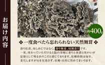 先行予約【2026年9月中旬頃～順次発送予定】ちっくほっくふぁ～む　山の恵み　原木舞茸&nbsp;400g