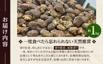 先行予約【2027年3月上旬頃～順次発送予定】ちっくほっくふぁ～む　山の恵み　原木椎茸&nbsp;1kg