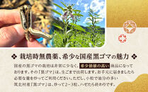先行予約【2027年2月上旬頃～順次発送予定】ちっくほっくふぁ～む　栽培時農薬不使用　筑北村産　黒ゴマ500ｇ