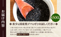 先行予約【2027年2月上旬頃～順次発送予定】ちっくほっくふぁ～む　栽培時農薬不使用　筑北村産　黒ゴマ500ｇ