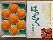 木成完熟 紅はっさく 特秀 大玉 2L × 7玉入 化粧箱 南泰園【2025年4月上旬～発送】